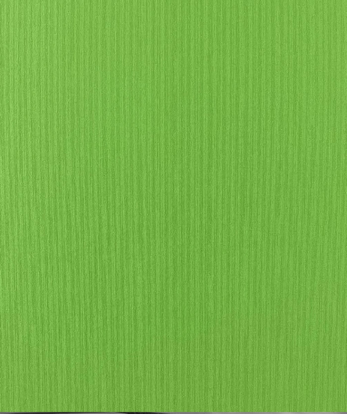 Giấy Dán Tường Nhập Khẩu Châu Âu Giấy Dán Tường Nhập Khẩu Châu Âu