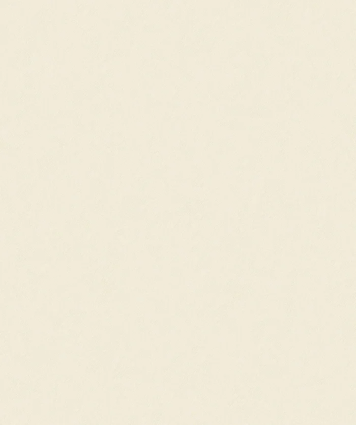 Giấy Dán Tường Trơn Mẫu Mới 5705-6/18P Giấy Dán Tường Trơn Mẫu Mới 5705-6/18P