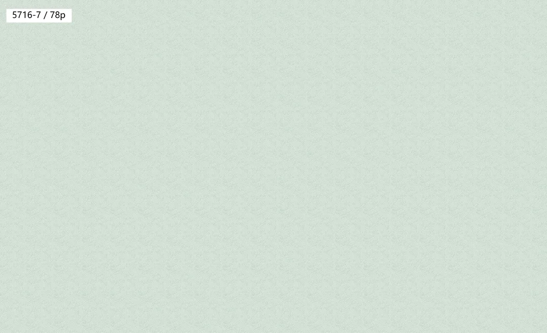 Giấy Dán Tường Trơn Cao Cấp Mẫu Mới 5716-7/78P