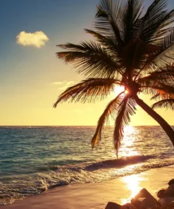 Tranh Dán Tường Phong Cảnh Bãi Biển, Hoàng Hôn Và Cây Dừa